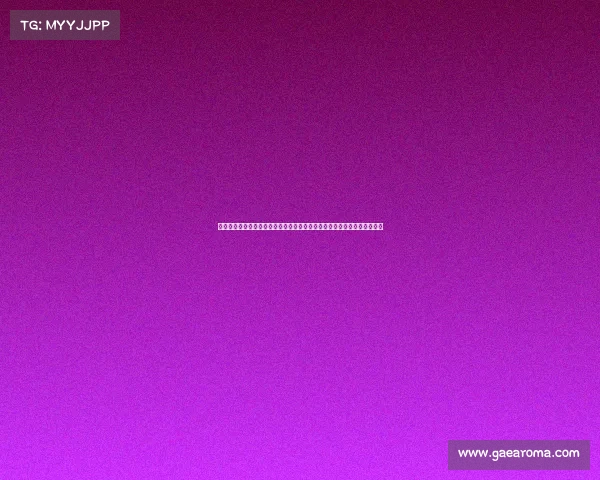 搏击赛事的流程与规划—搏击赛场风云录：从选手登场到终极对决全程解析