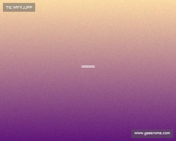 河北省武术套路比赛